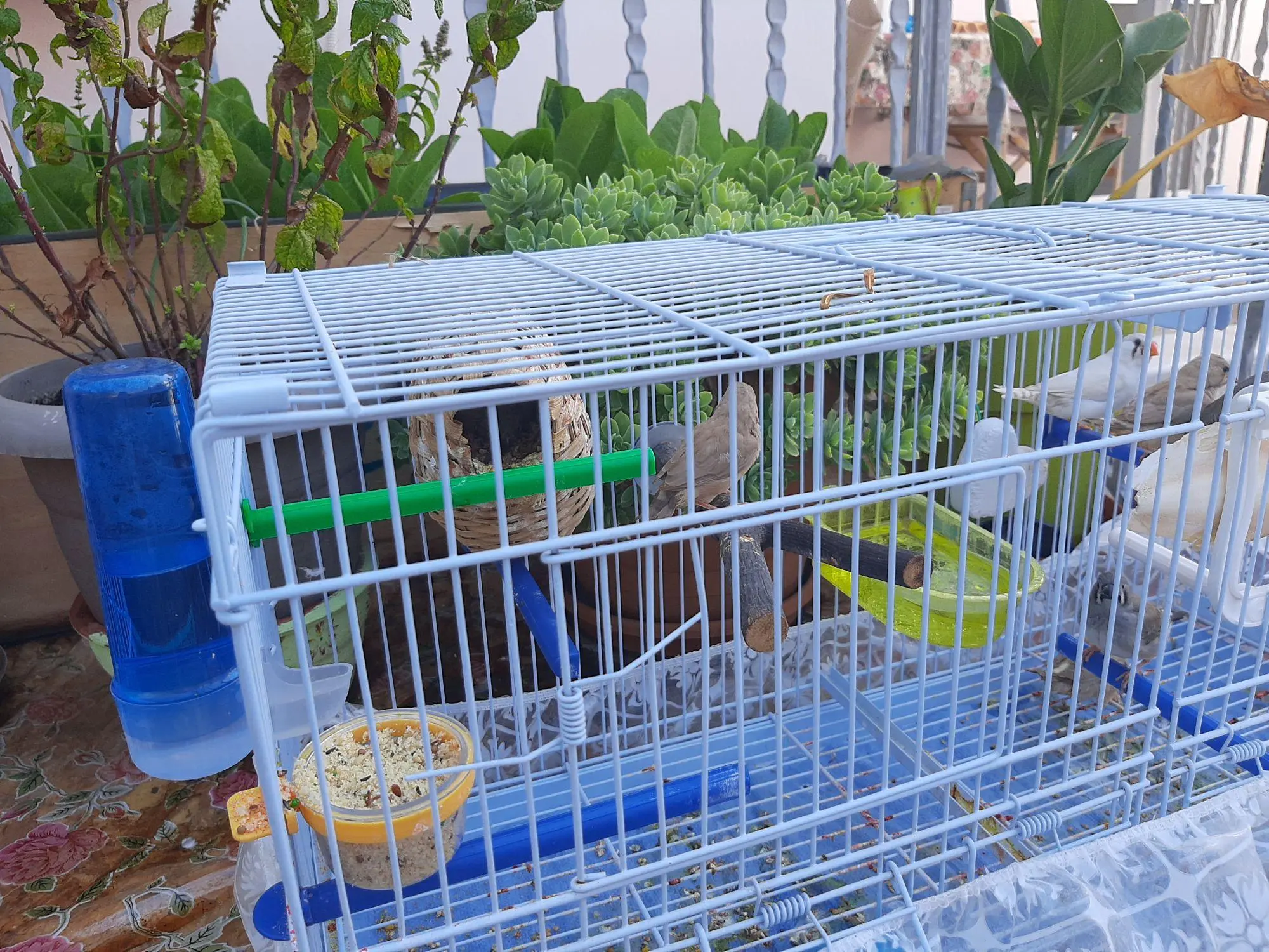 Συνημμένη εικόνα 73846