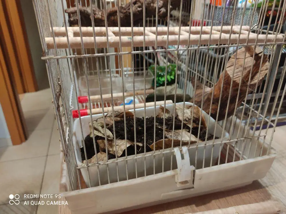 Συνημμένη εικόνα 74871