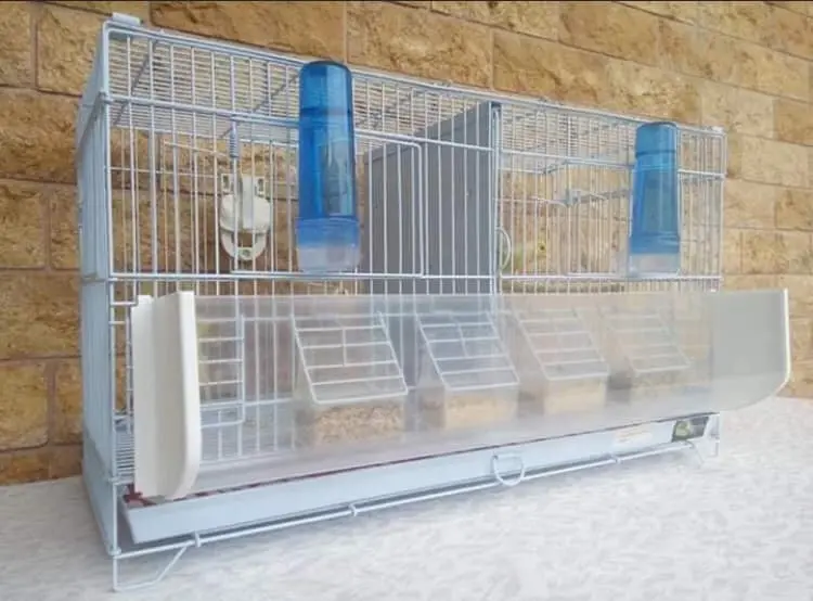 Συνημμένη εικόνα 75088