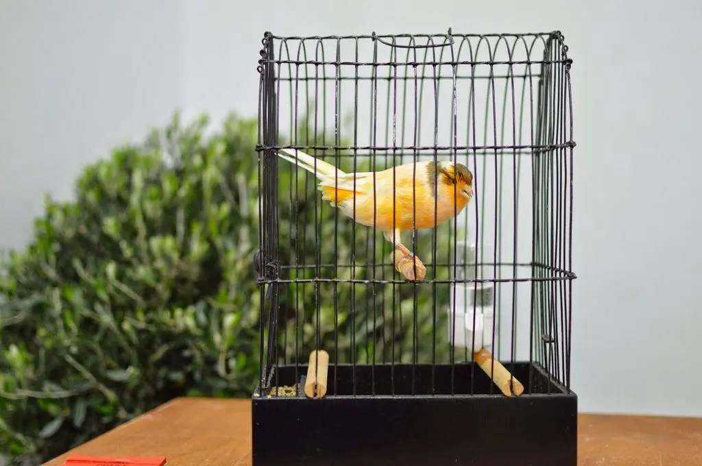 Συνημμένη εικόνα 75306