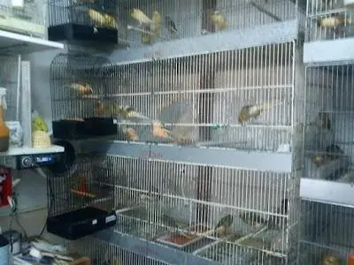 Συνημμένη εικόνα 75351
