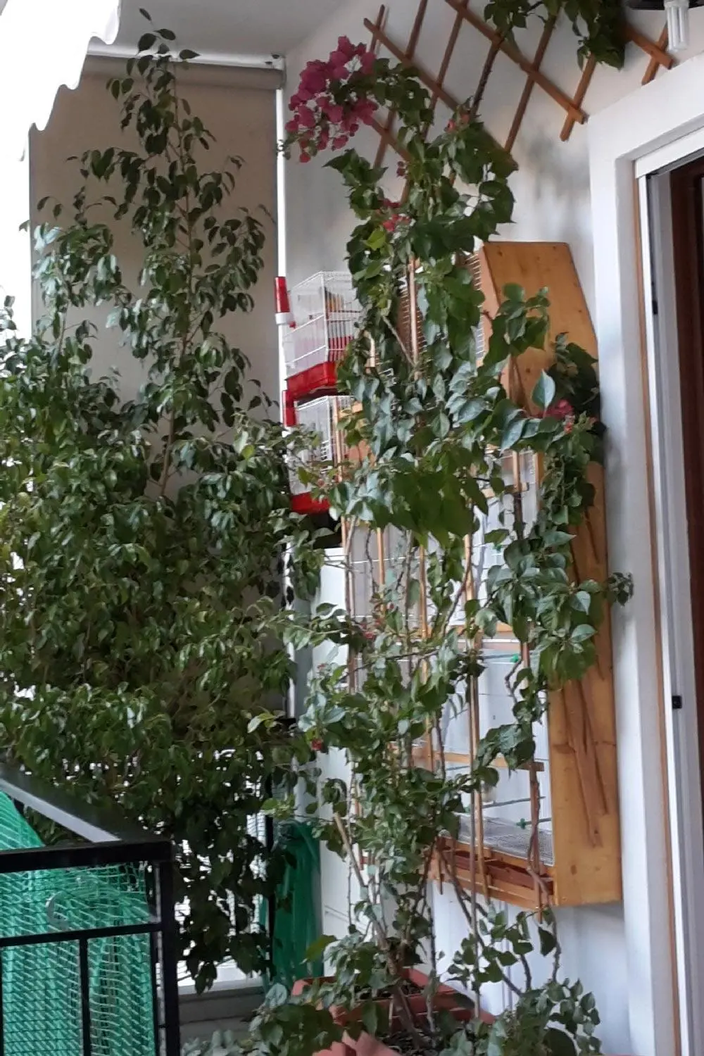 Συνημμένη εικόνα 75516