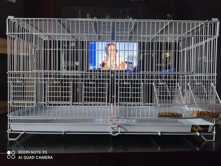 Συνημμένη εικόνα 75679