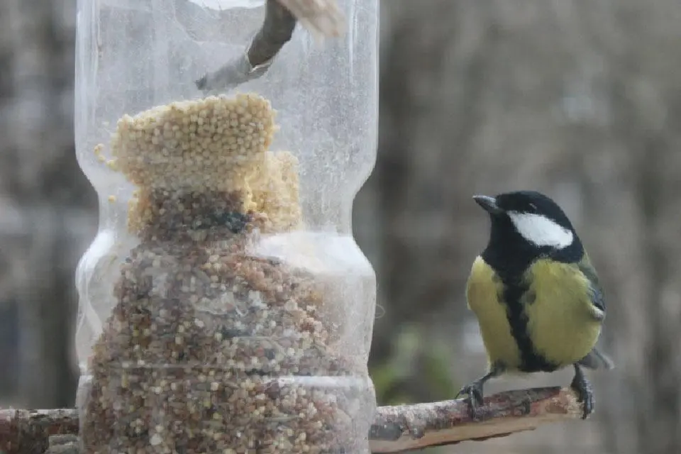 Συνημμένη εικόνα 75780