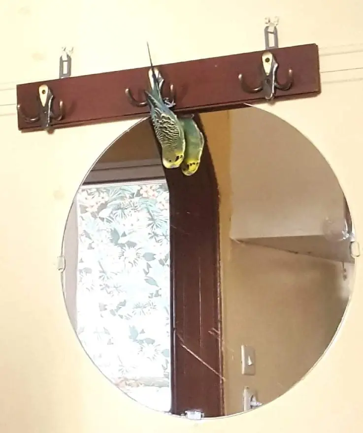 Συνημμένη εικόνα 76471