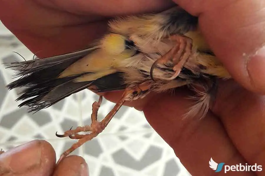 Συνημμένη εικόνα 76781