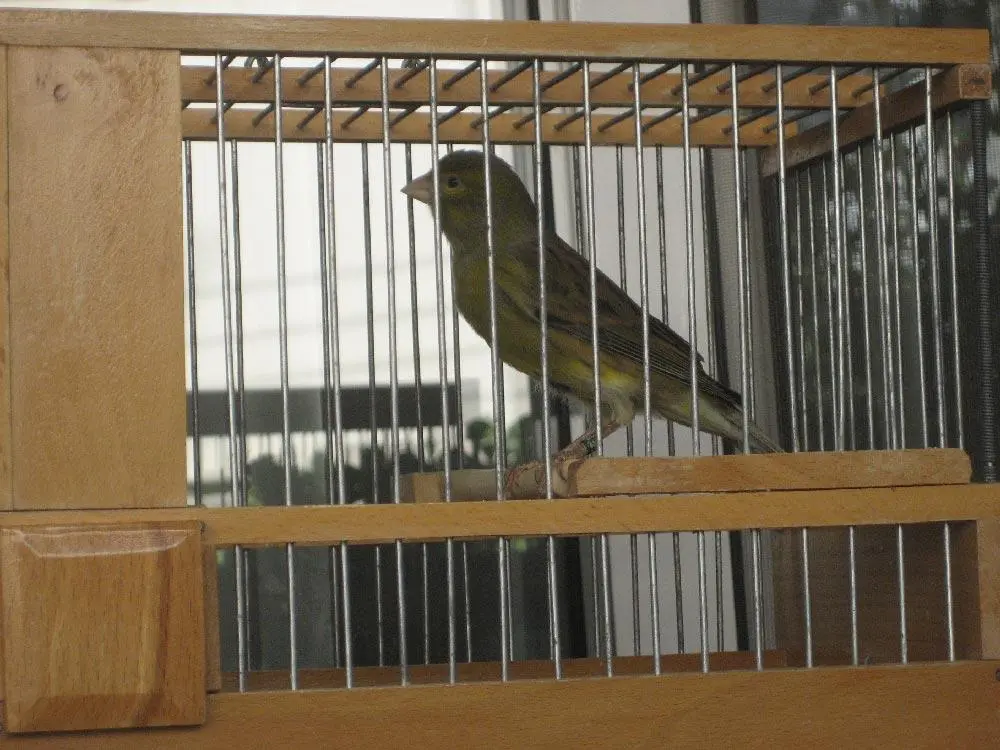 Συνημμένη εικόνα 77066