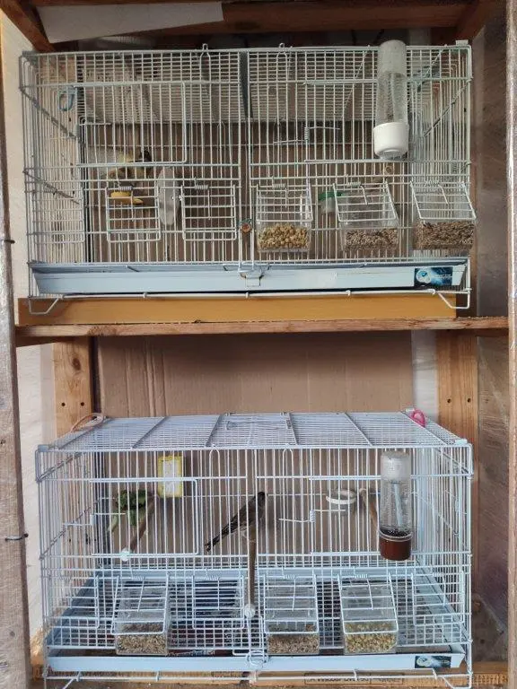 Συνημμένη εικόνα 77679