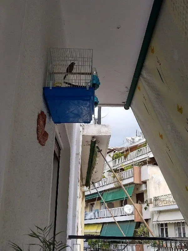 Συνημμένη εικόνα 78163