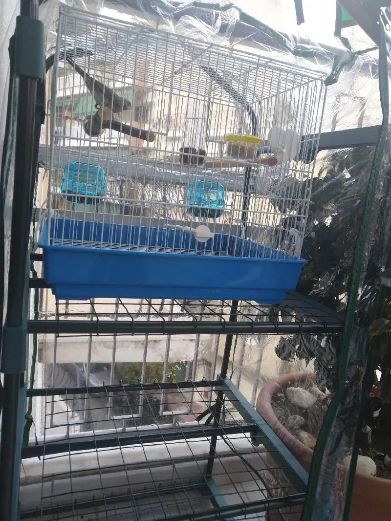 Συνημμένη εικόνα 78402
