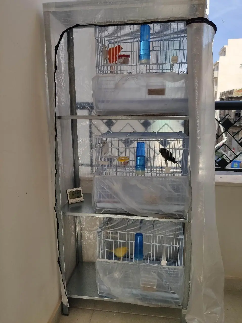 Συνημμένη εικόνα 78439