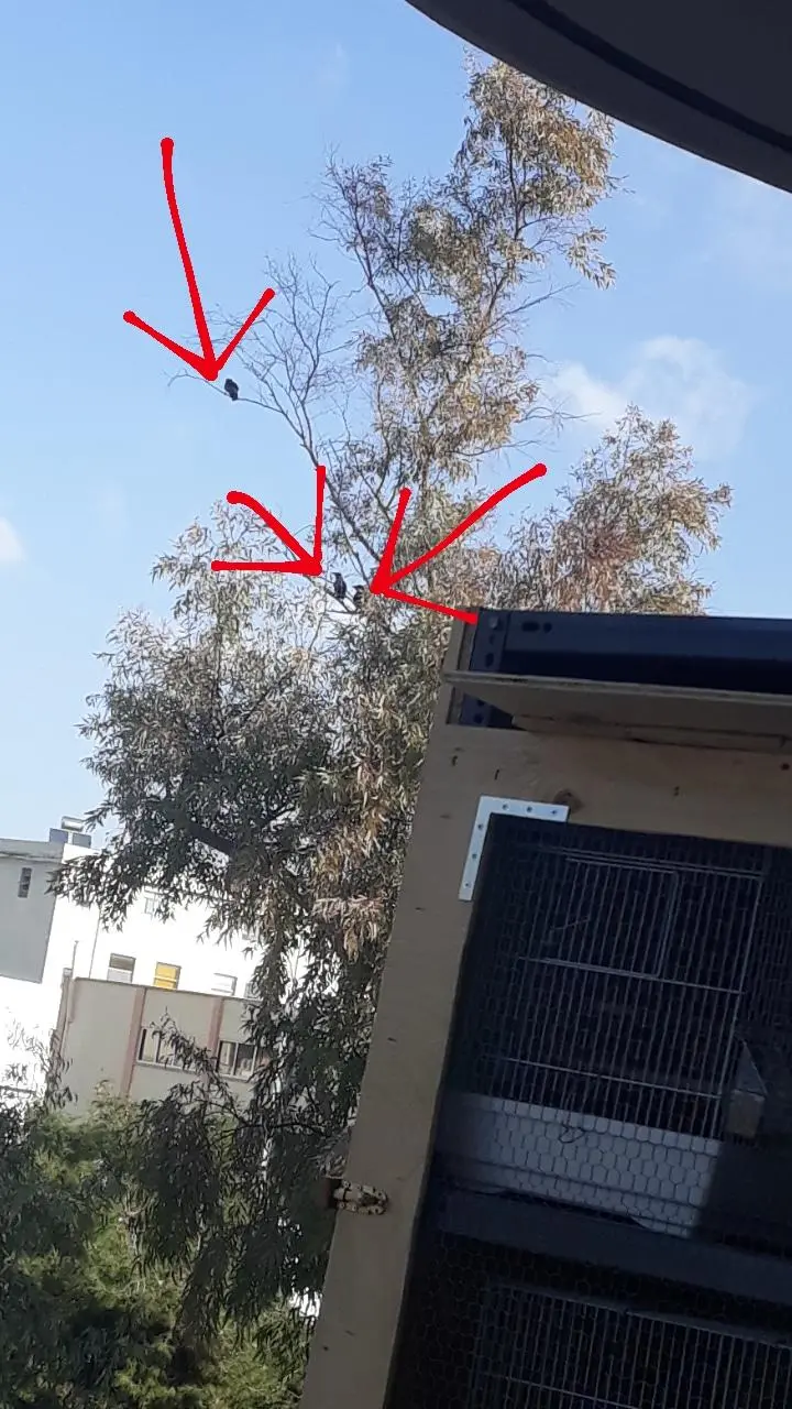 Συνημμένη εικόνα 79148