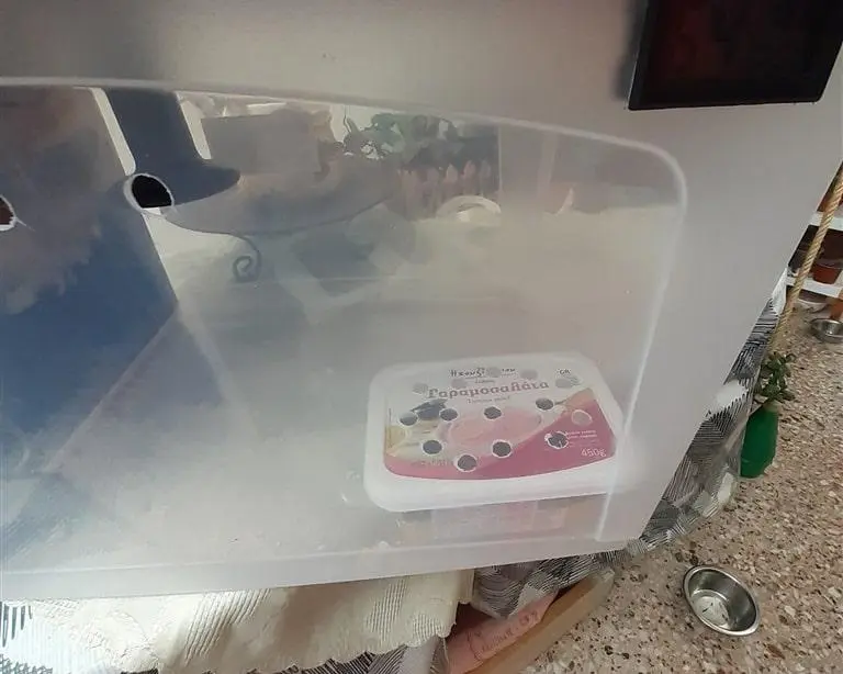 Συνημμένη εικόνα 79774