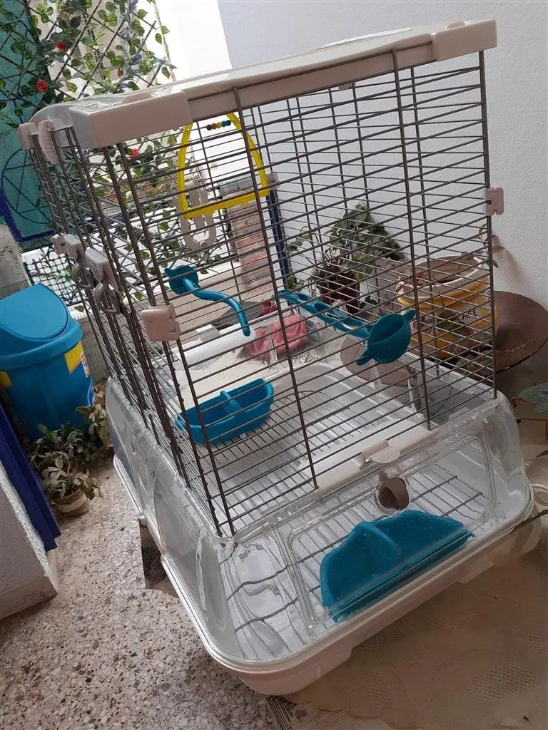 Συνημμένη εικόνα 79777
