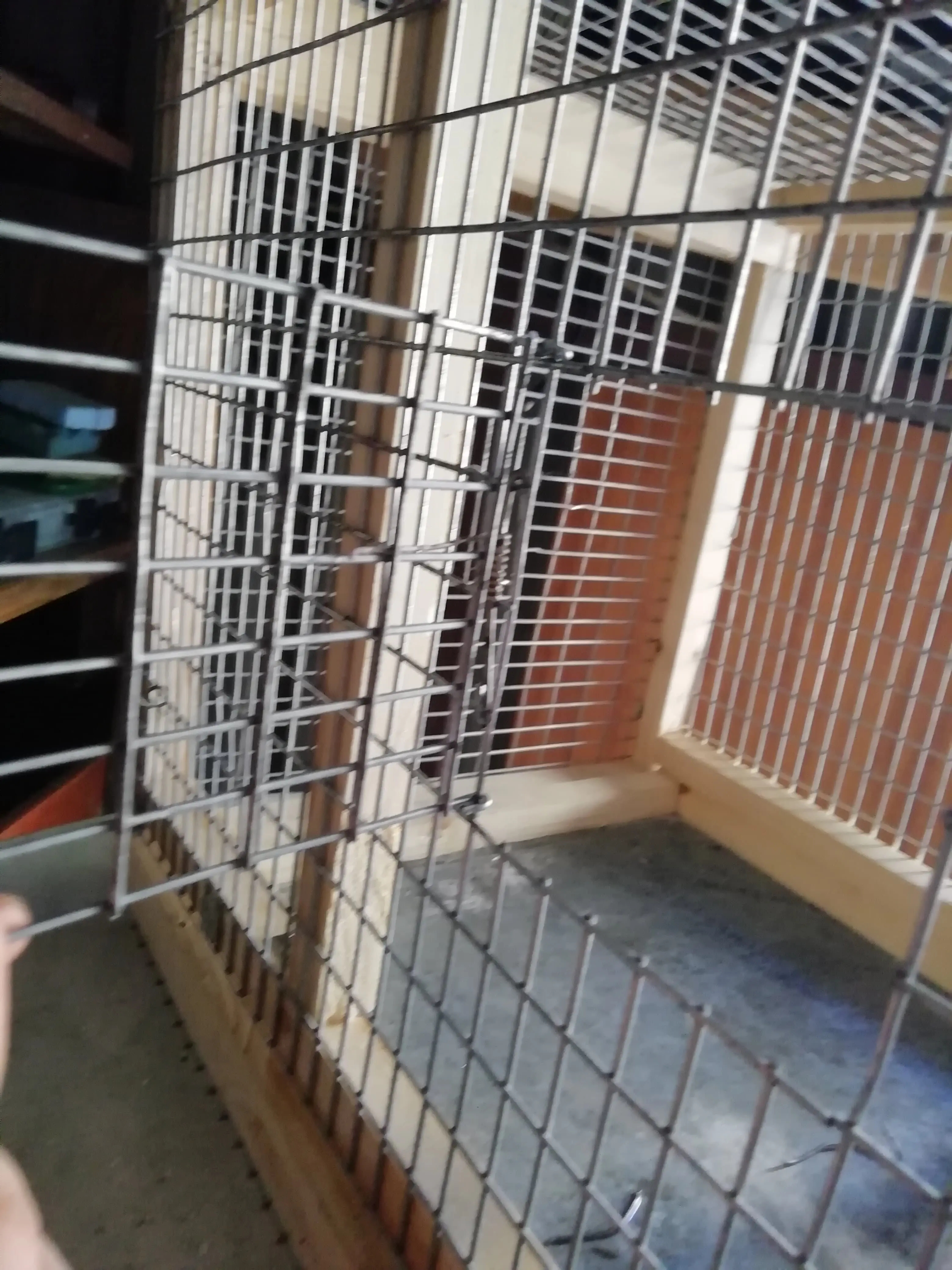 Συνημμένη εικόνα 79971
