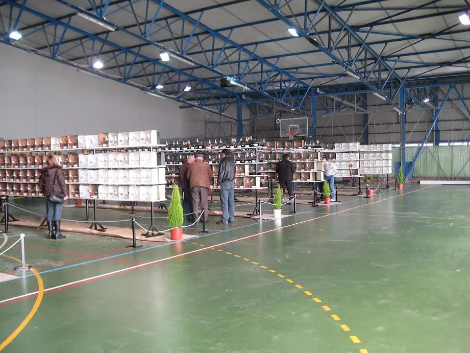 Συνημμένη εικόνα 8375