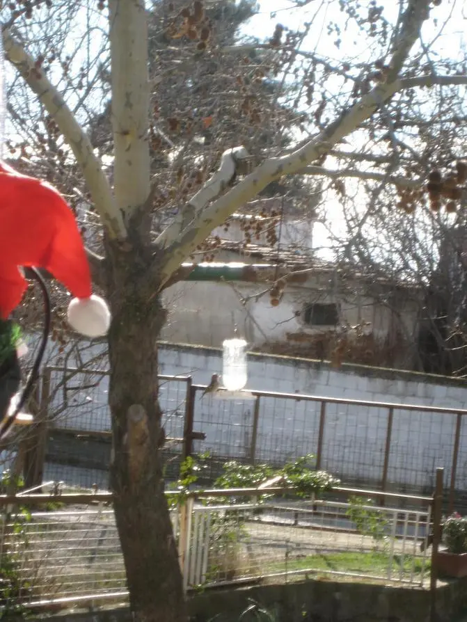 Συνημμένη εικόνα 8812