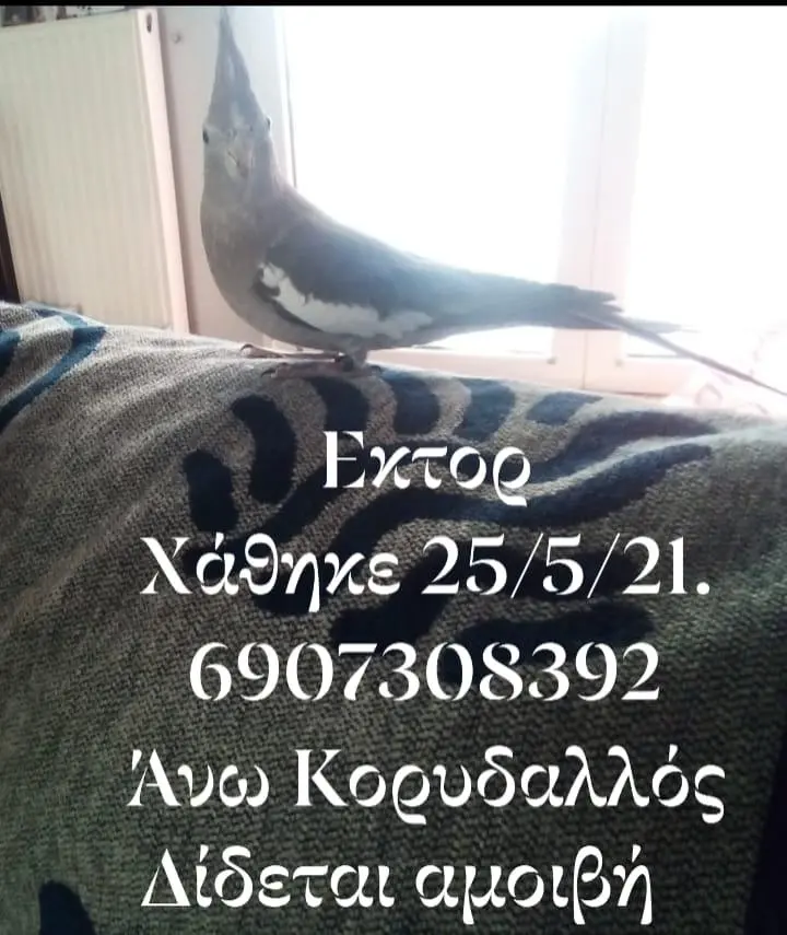 Συνημμένη εικόνα 81900