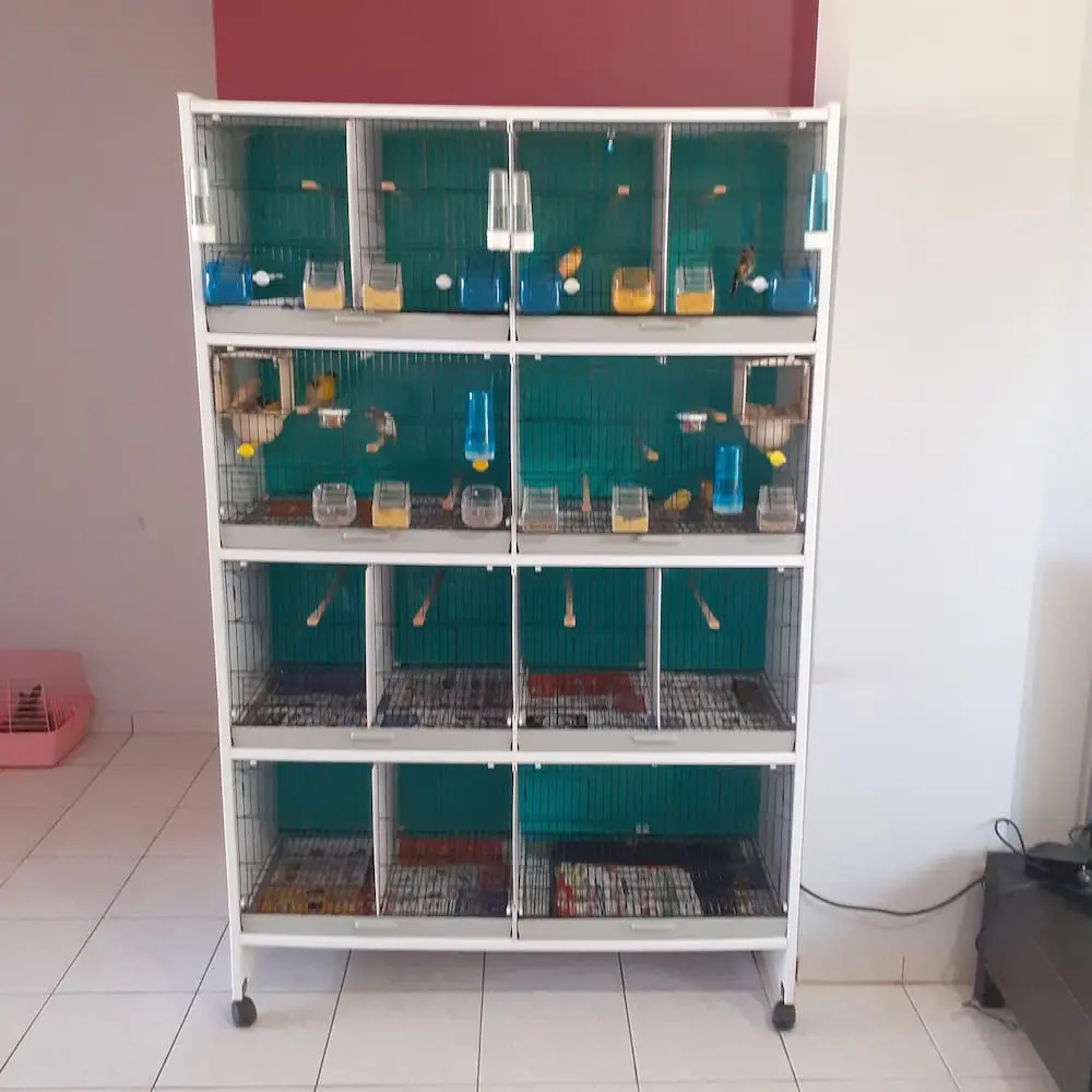 Συνημμένη εικόνα 82744