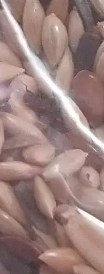 Συνημμένη εικόνα 83862