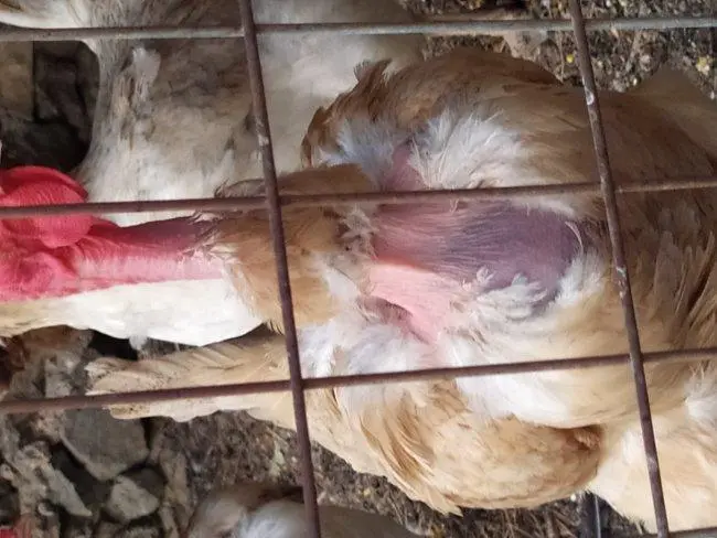 Συνημμένη εικόνα 83869