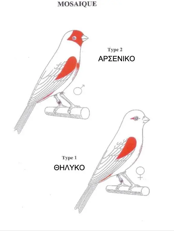 Συνημμένη εικόνα 85476