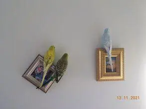 Συνημμένη εικόνα 85539