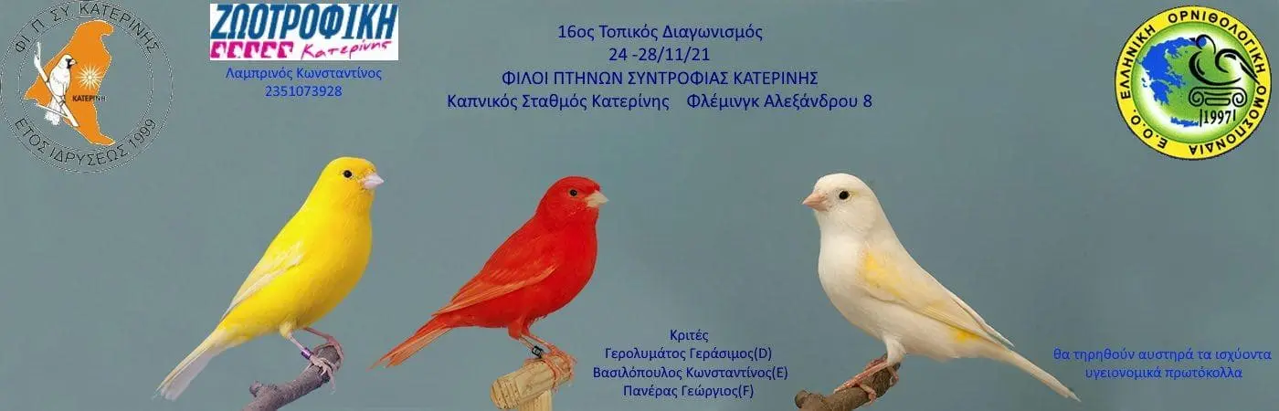 Συνημμένη εικόνα 85584
