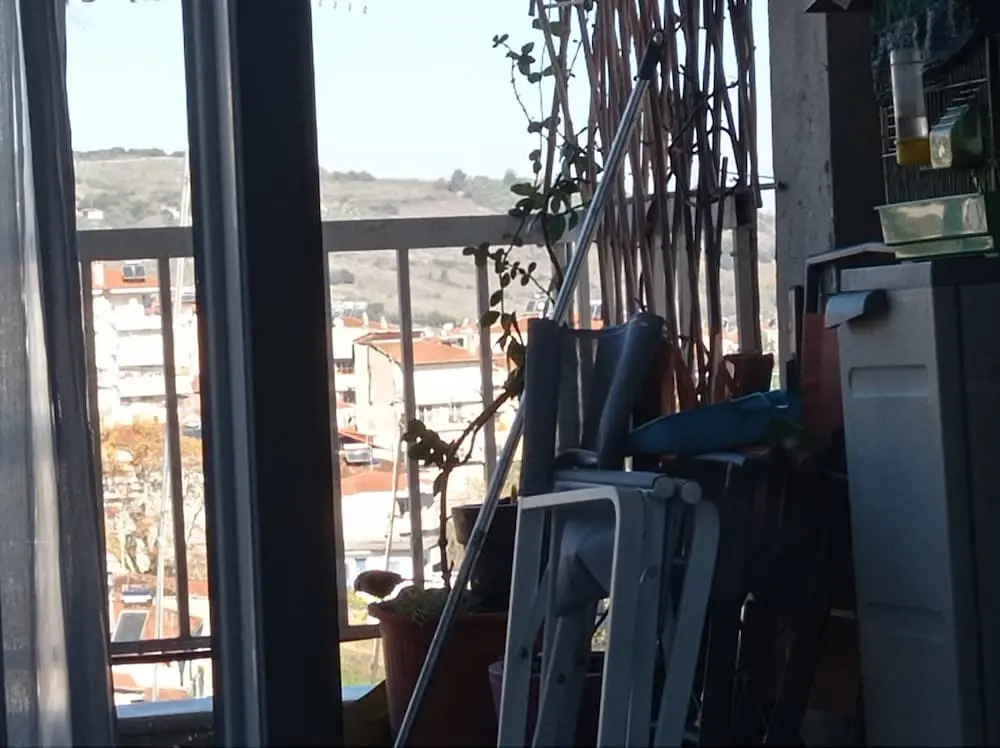Συνημμένη εικόνα 85851