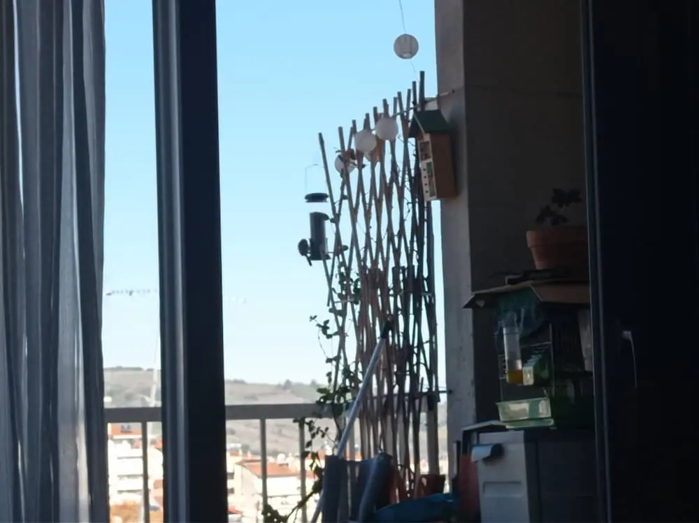 Συνημμένη εικόνα 85852