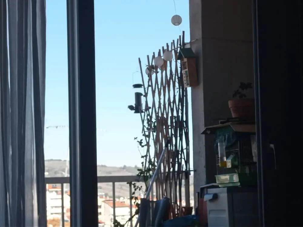 Συνημμένη εικόνα 85853