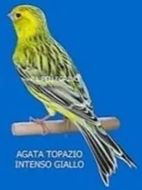 Συνημμένη εικόνα 87129