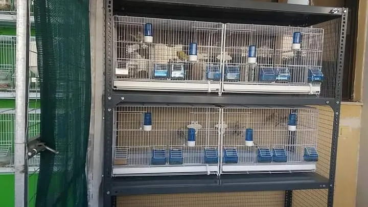 Συνημμένη εικόνα 87843