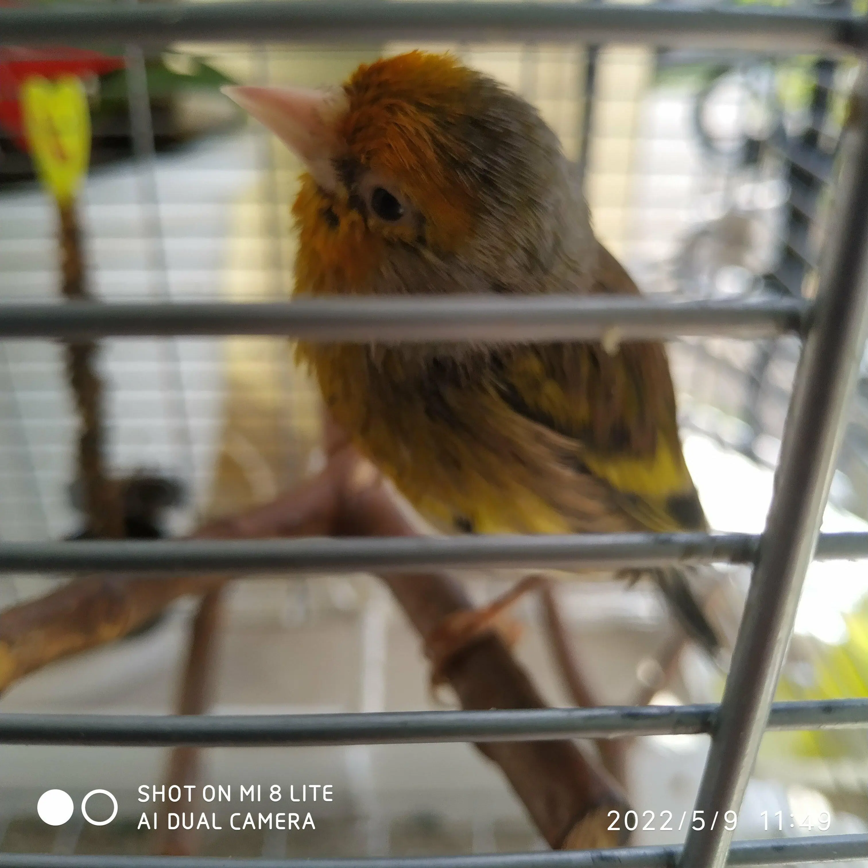 Συνημμένη εικόνα 88386