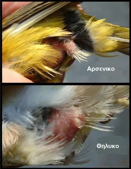 Συνημμένη εικόνα 88618