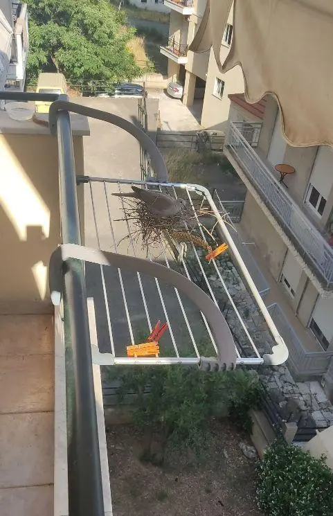 Συνημμένη εικόνα 88843