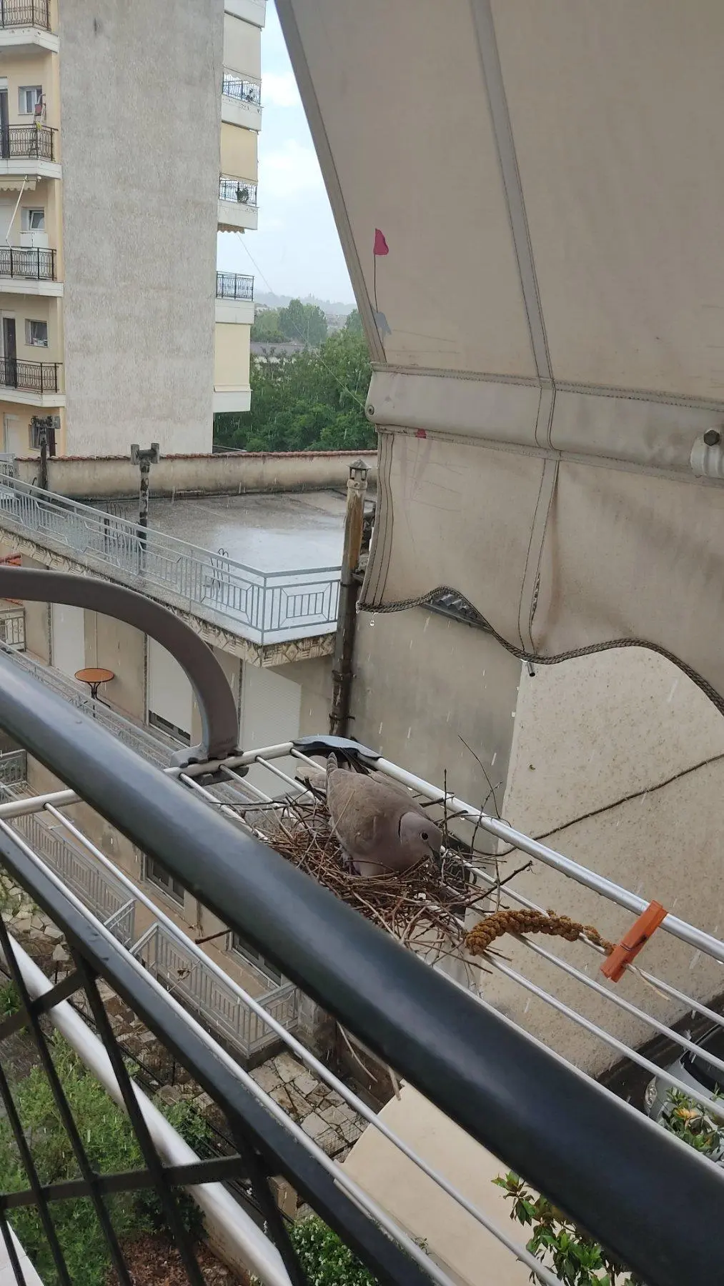 Συνημμένη εικόνα 88850