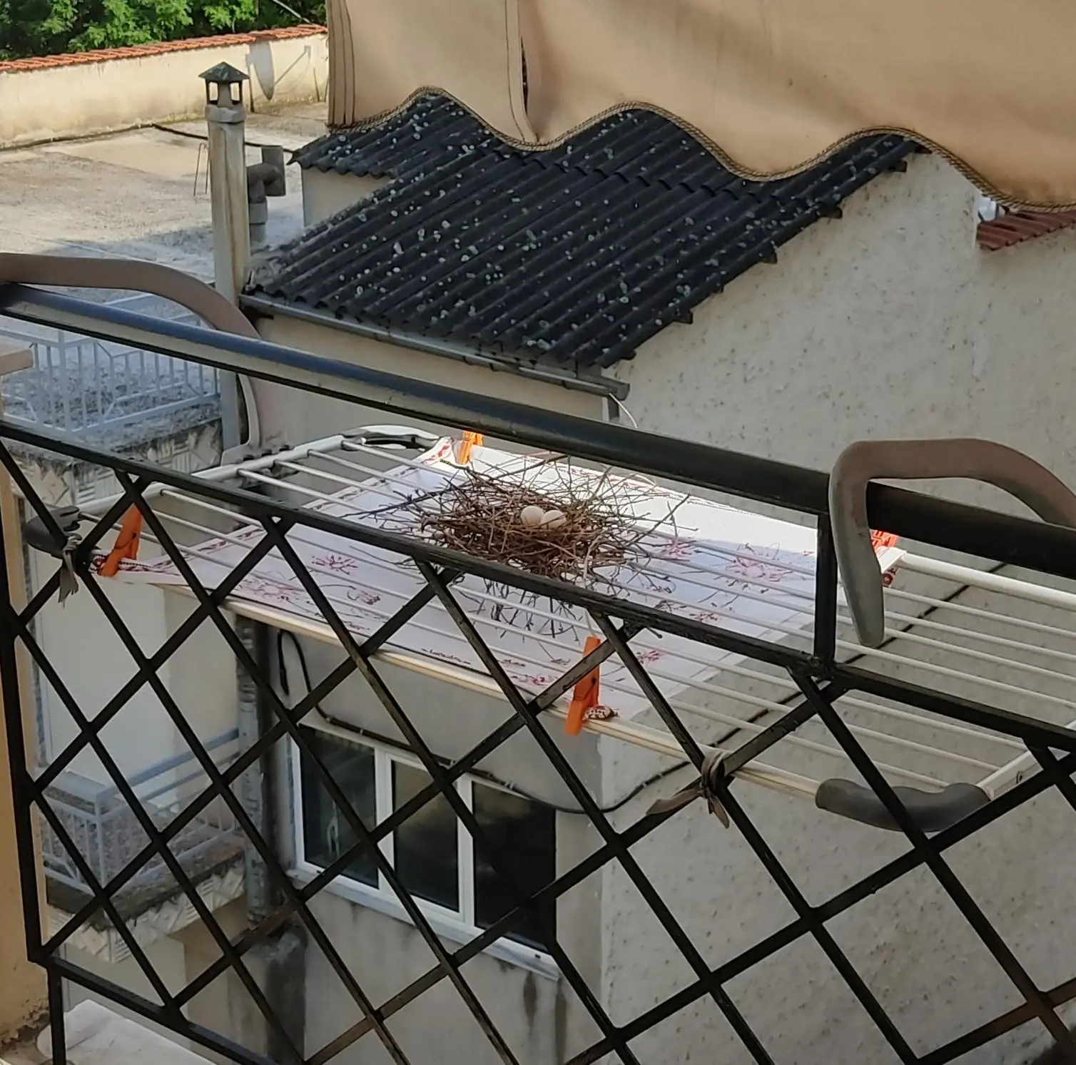 Συνημμένη εικόνα 88851