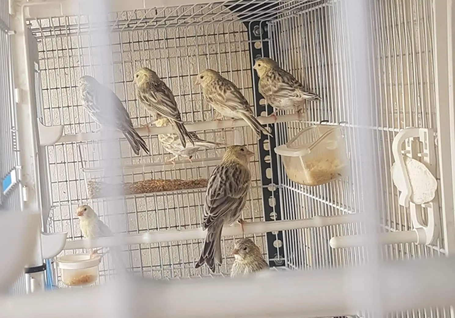 Συνημμένη εικόνα 88918