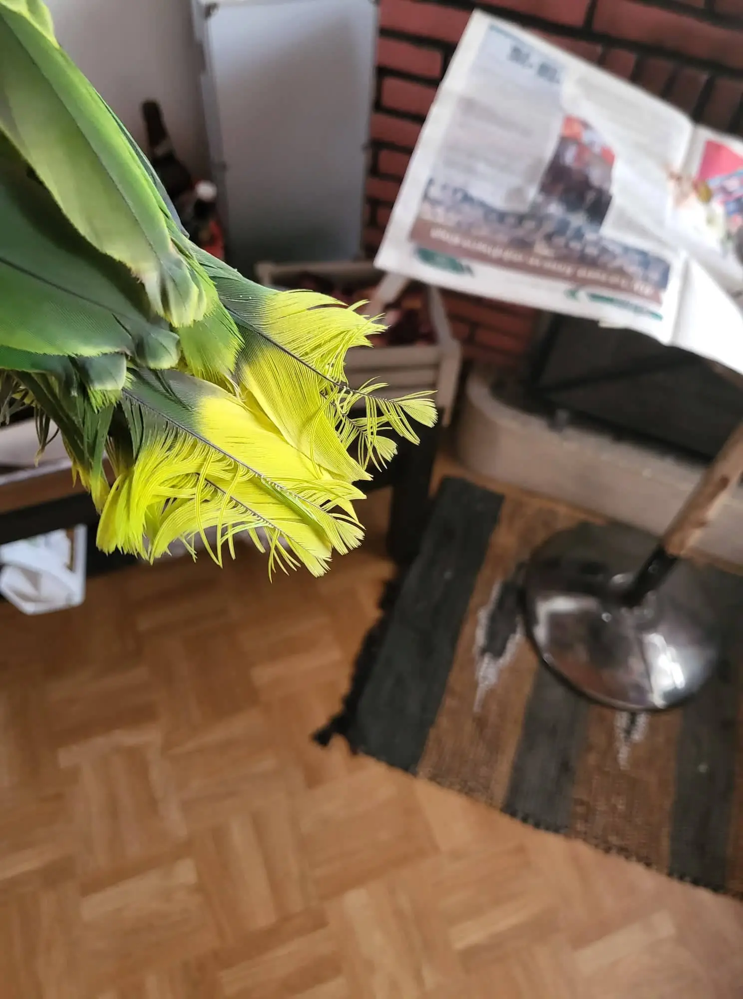 Συνημμένη εικόνα 89920