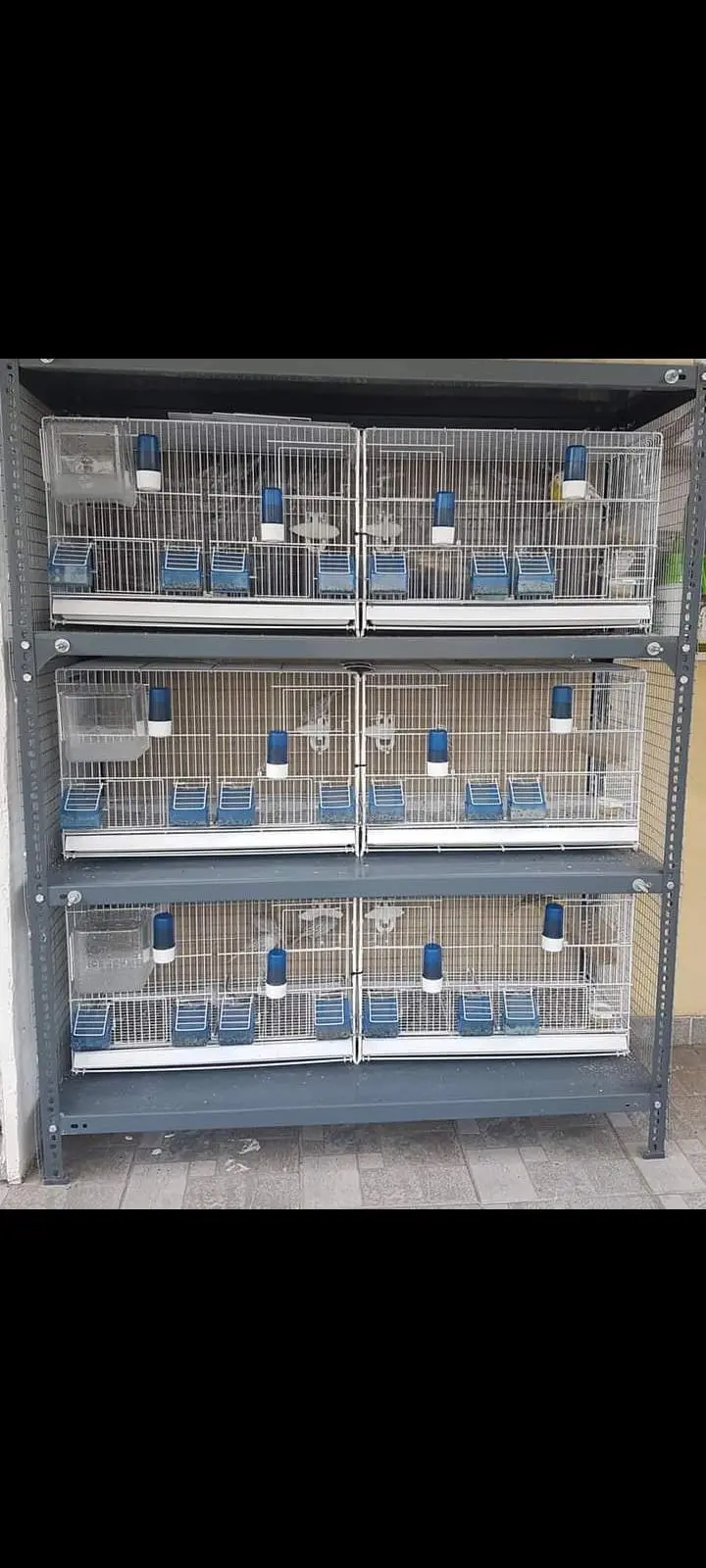 Συνημμένη εικόνα 90006