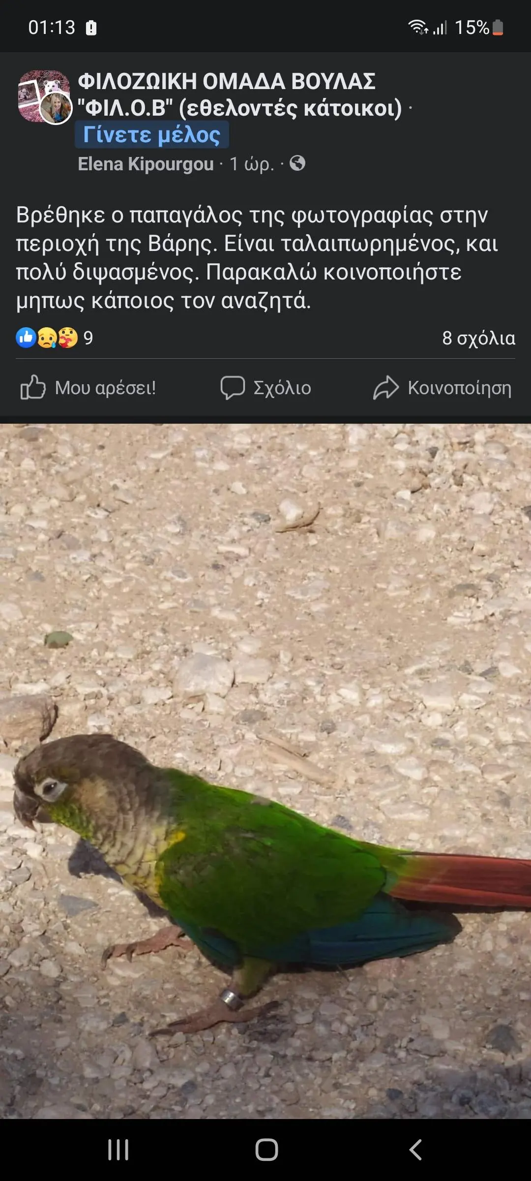 Συνημμένη εικόνα 90079
