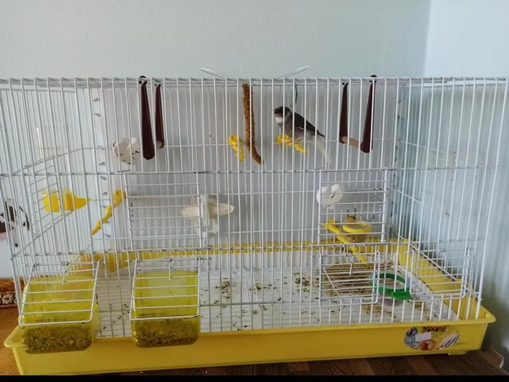 Συνημμένη εικόνα 90182