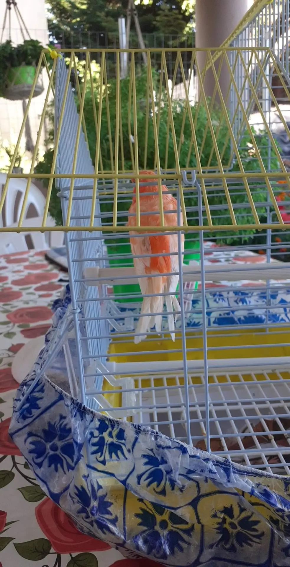 Συνημμένη εικόνα 90621