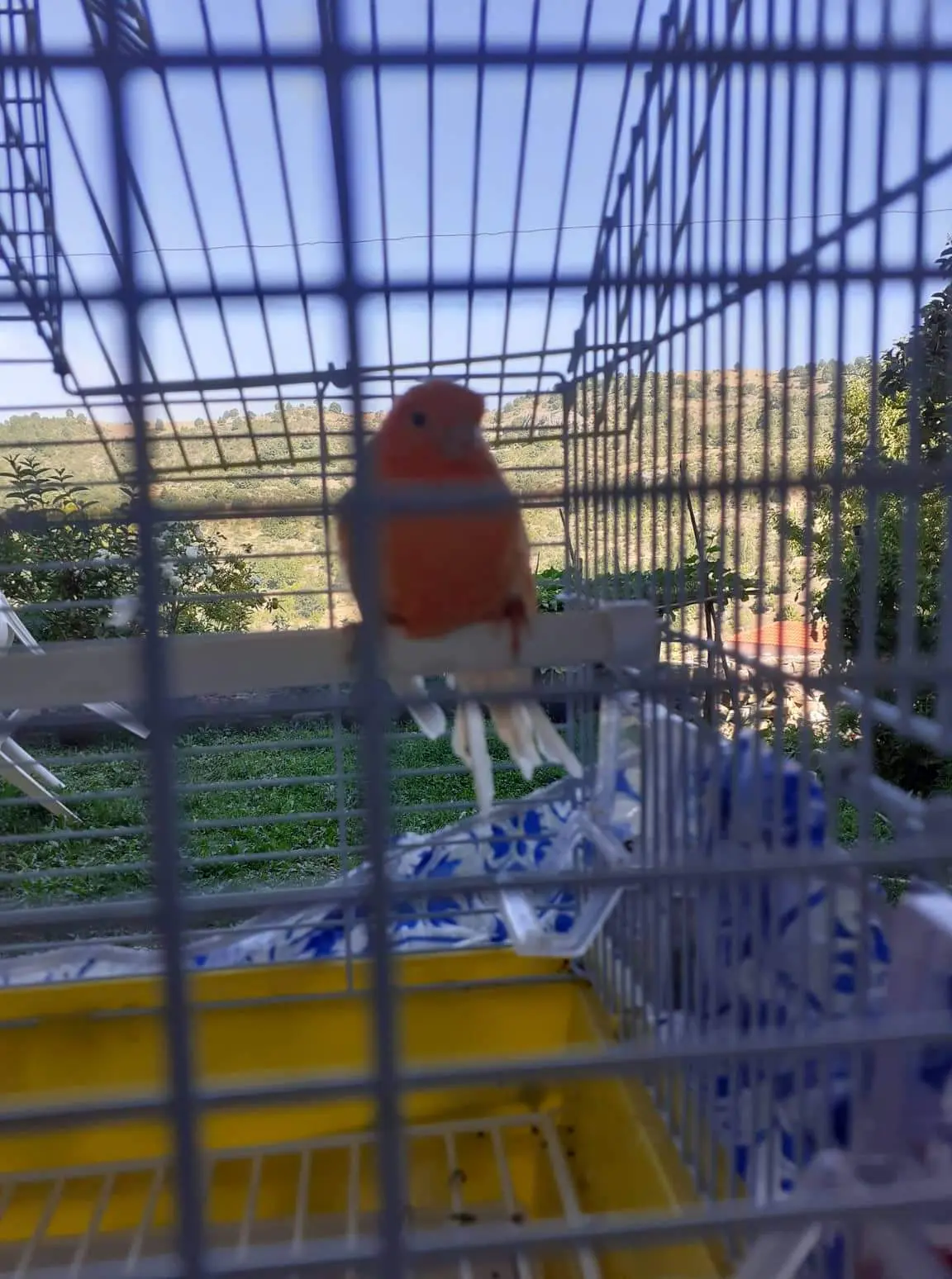 Συνημμένη εικόνα 90622