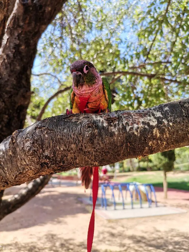 Συνημμένη εικόνα 91396
