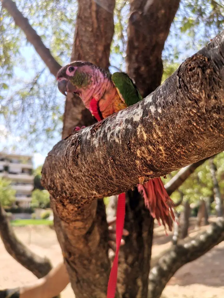 Συνημμένη εικόνα 91397
