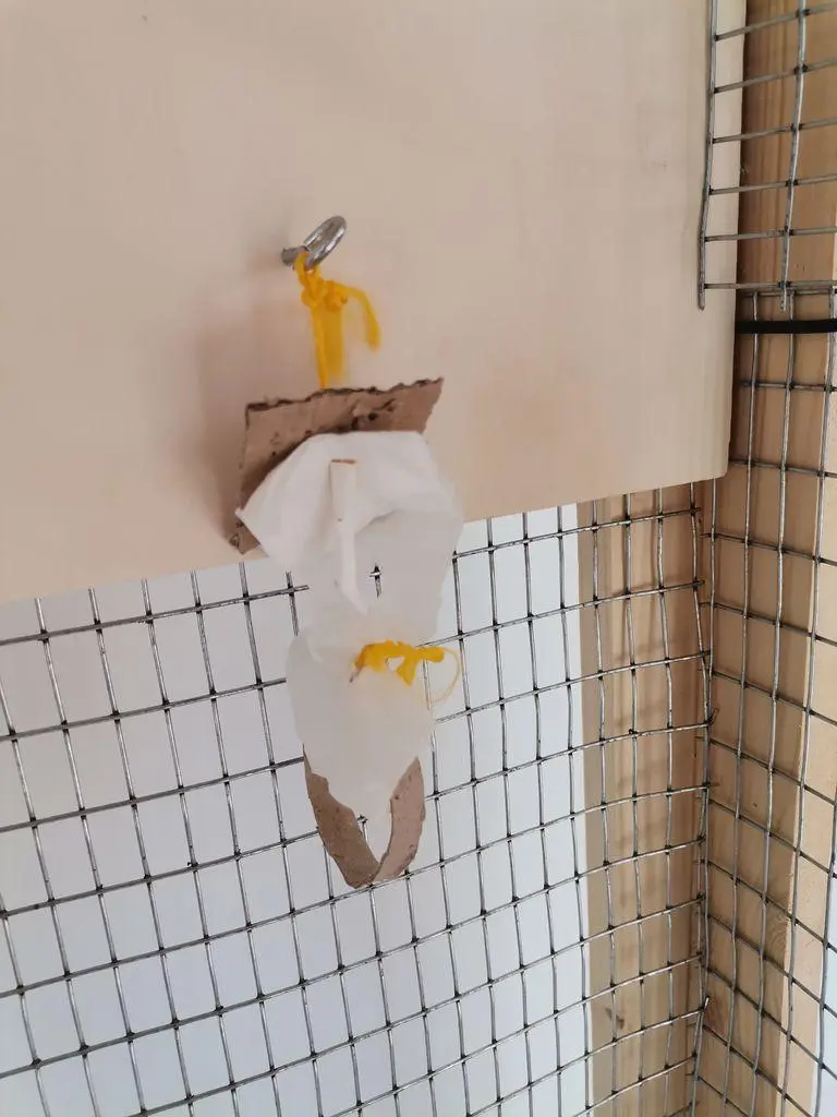 Συνημμένη εικόνα 91445