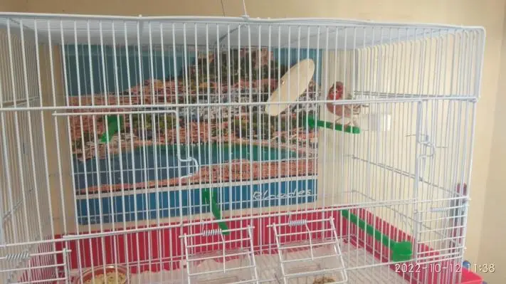 Συνημμένη εικόνα 91747