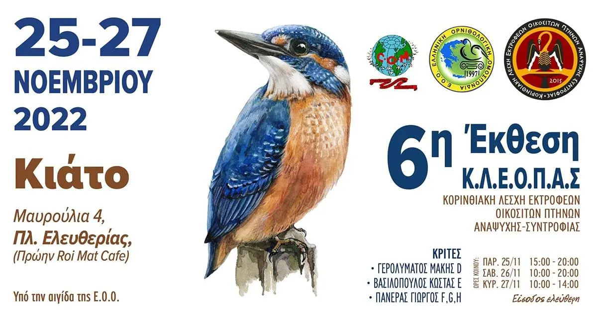 Συνημμένη εικόνα 91948